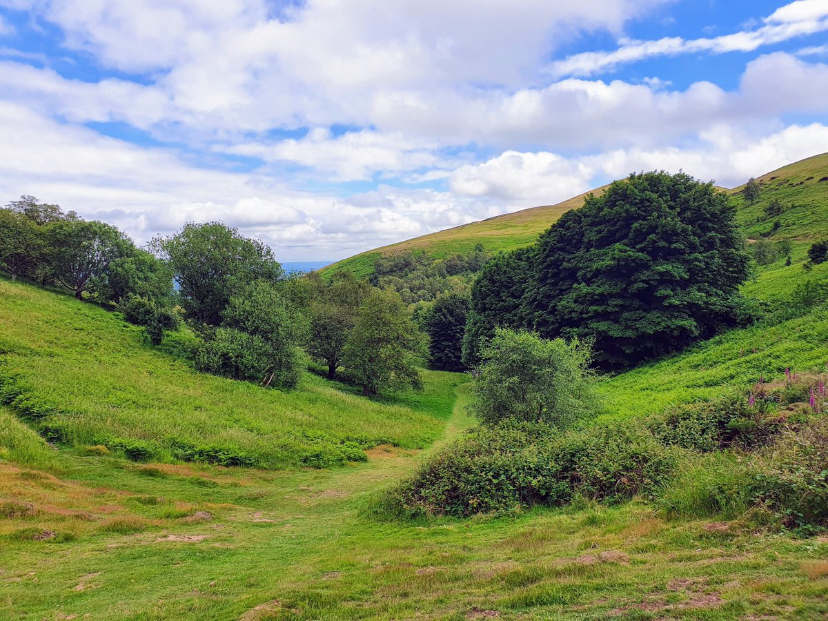 RJonTourUK tweet media