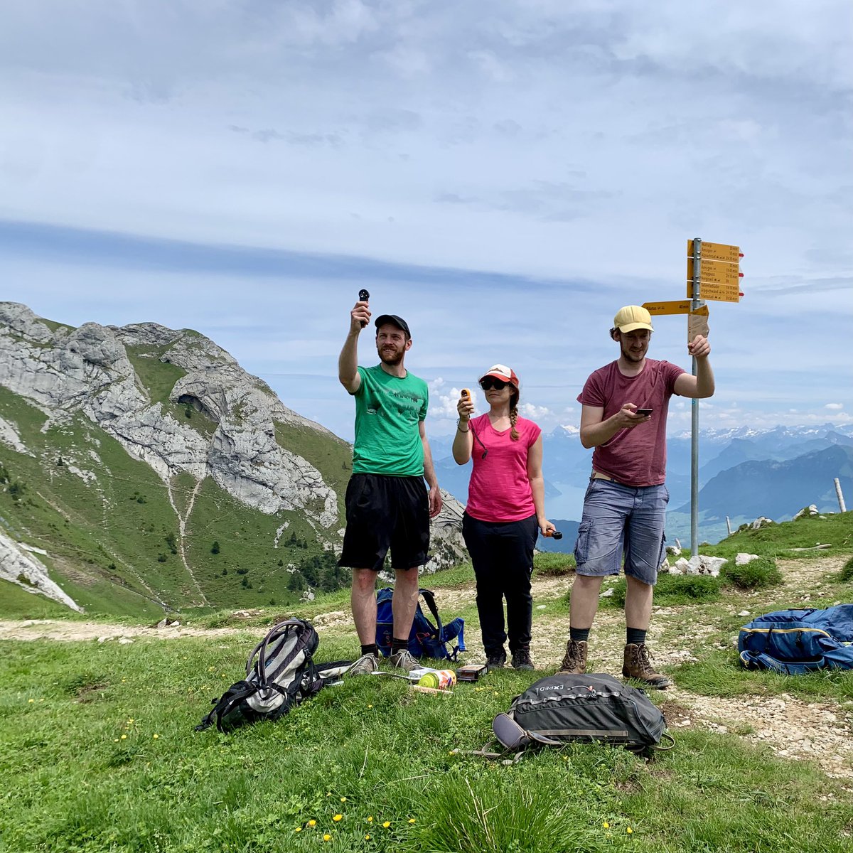 Open Mind Institute tweet media