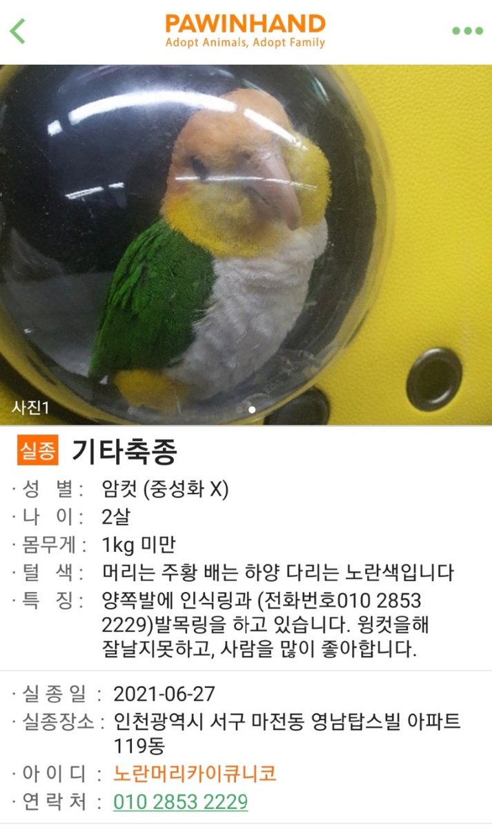 콘치즈 (@freename27) on Twitter photo 