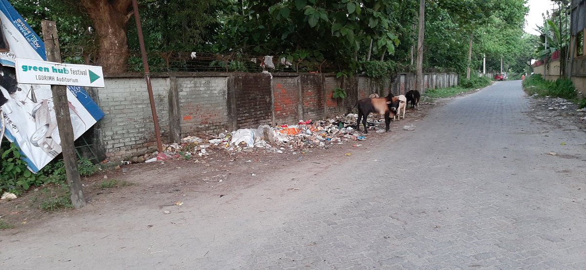 954Yahoo's tweet photo. Broken drainage system from past years and uncleared dustbin has lead to overflow of sewage water,breeding of mosquitoes and bad smell in the area of Ex Police Line,Durga Mandir By Lane Road,Tezpur.Sir, it's a humble request please kindly look into the issues.@DCSonitpur https://t.co/XNPMdytBTH