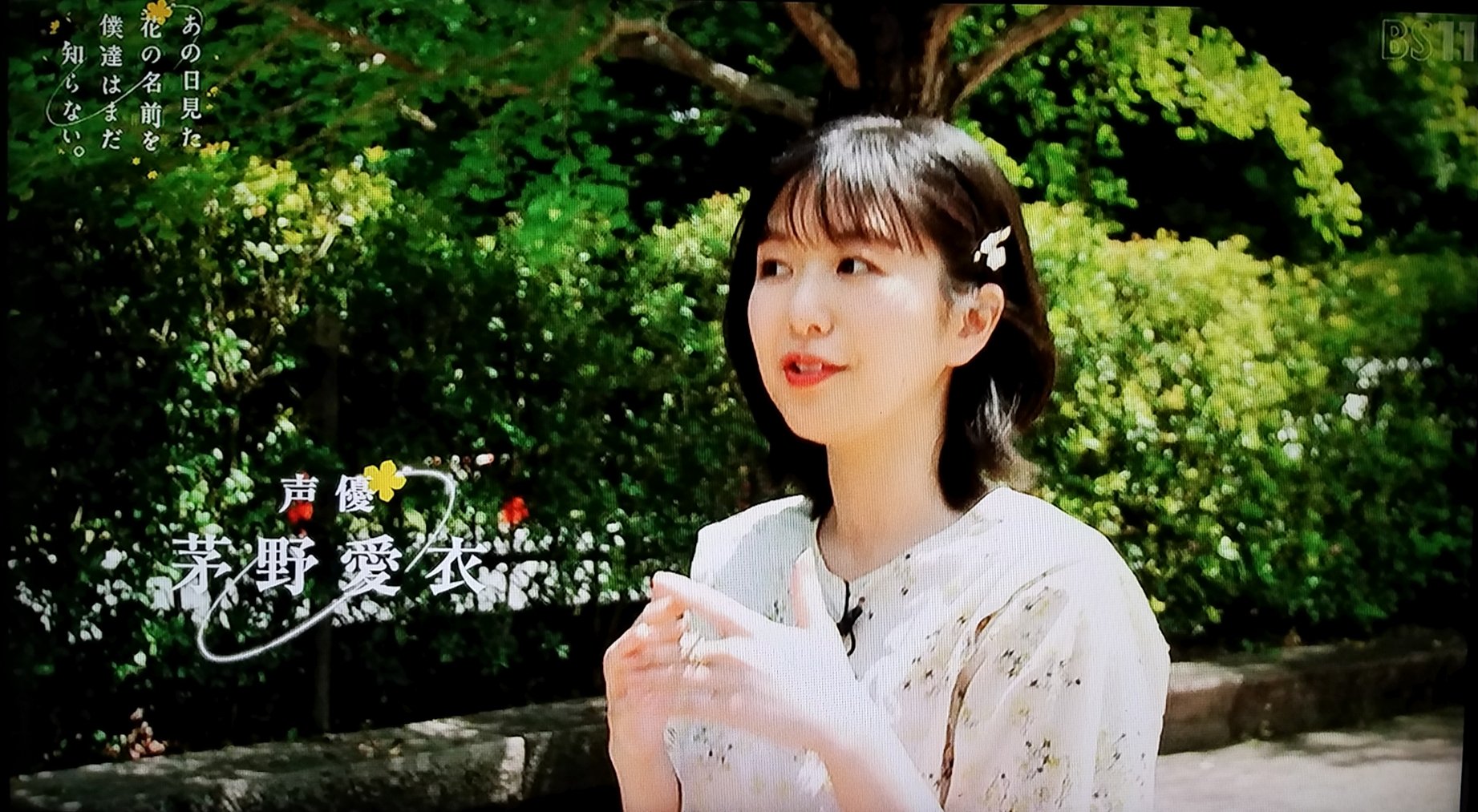 プレシャスメモリーズ　あの花　本間芽衣子　めんま　直筆サイン　茅野愛衣⓪ 直筆サインカード】あの花 プレシャスメモリーズ 本間芽衣子