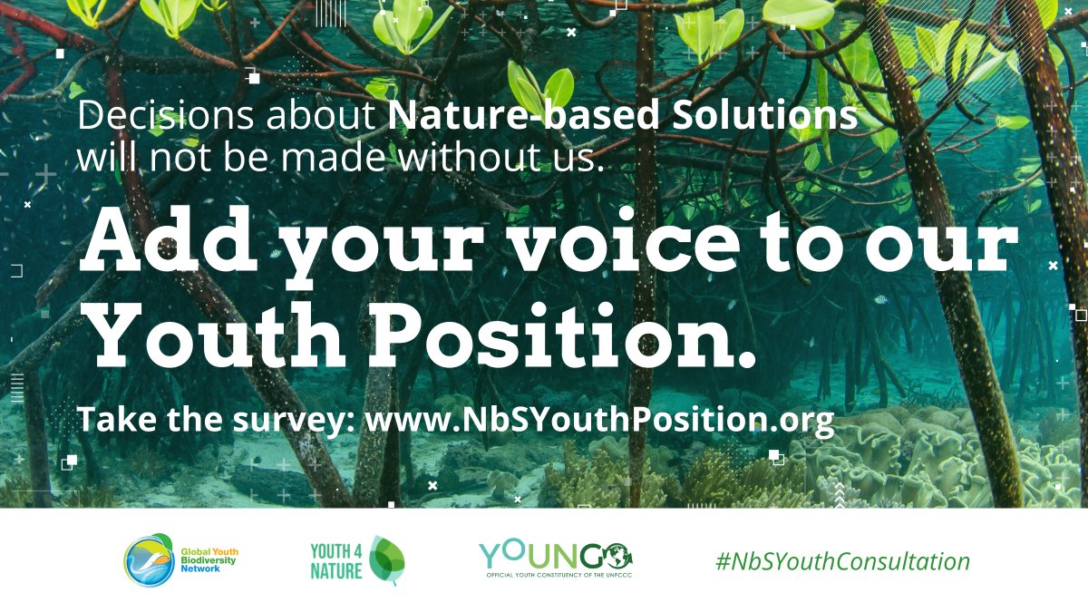 What do #NatureBasedSolutions mean to you? 🌱🌍 #Youth are critical actors for #nature & #climate. We won’t stand by as decisions about us are made without us. If you’re 30 or under, take 10 mins to add your voice to our #NBSYouthConsultation 👉 bit.ly/NbSsurvey.