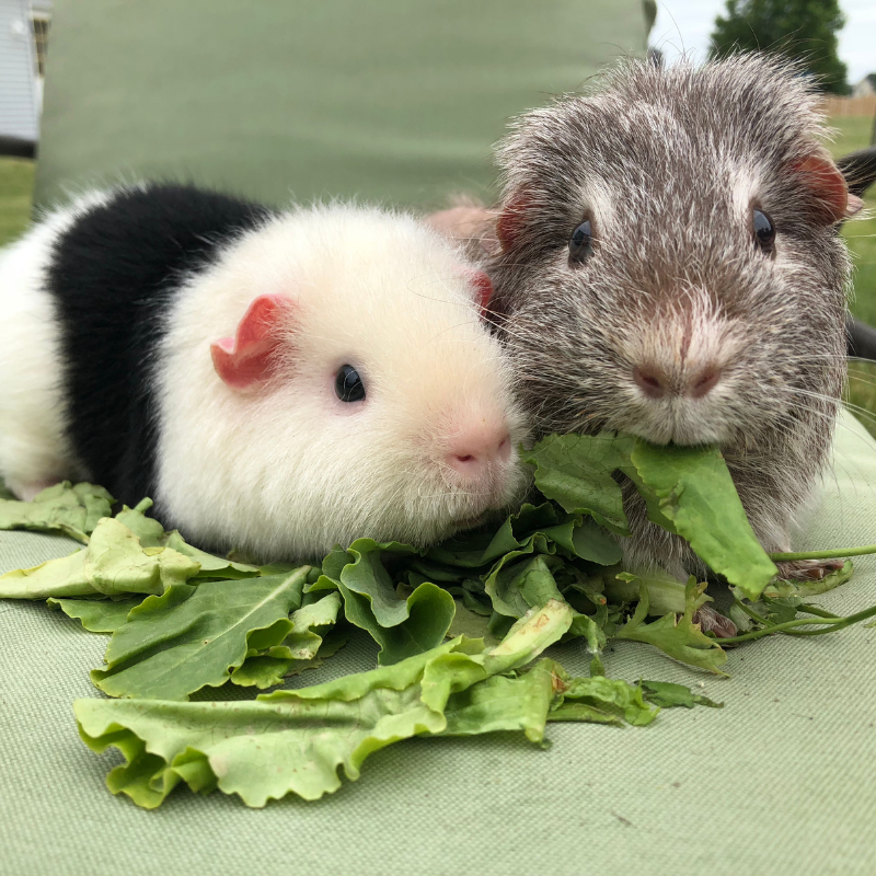 Lunch time. Sharing is caring! 💕