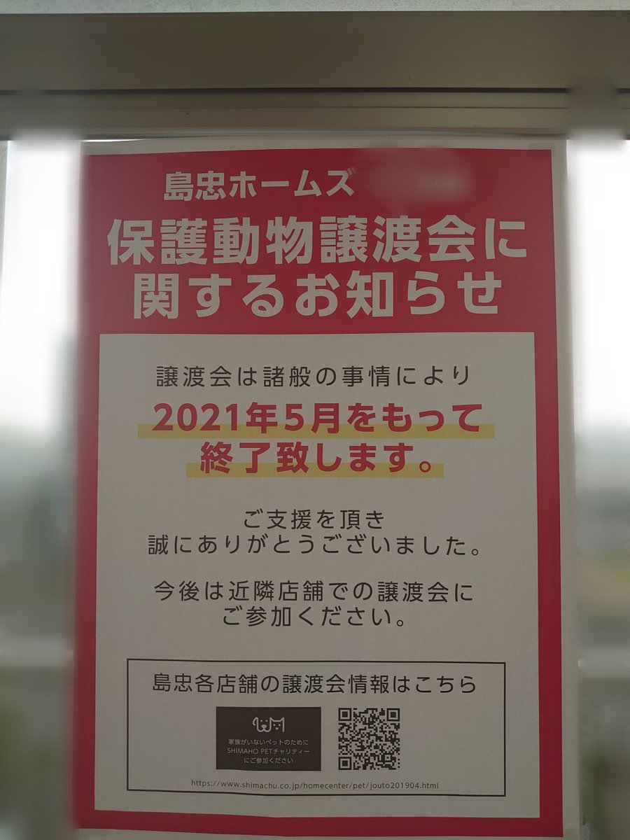 お値段以下 お値段以下