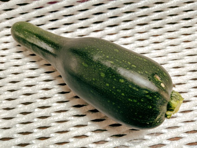 ズッキーニのtwitterイラスト検索結果