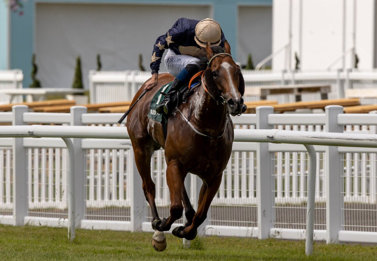 curraghrace's tweet photo. The @paddypower #PPRockingham Premier Handicap goes to the top weight Urban Beat for trainer @JohnnyMurtagh under jockey @BenCoen2 in the colours of Fitzwilliam Racing. Congratulations to connections 👏 
#CurraghTrained #PaddyPower #DDFDerby https://t.co/W74wMefOkk