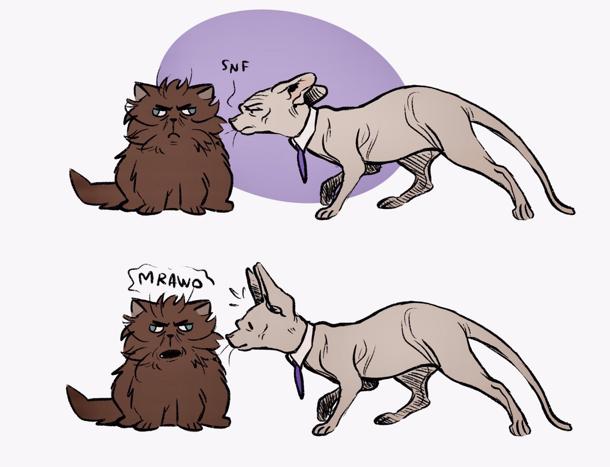 Hannimeow 