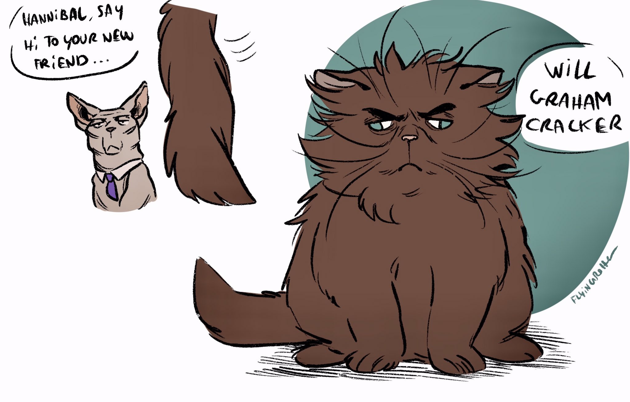 E45XHF3XwAAOQ6E?format=jpg&name=large