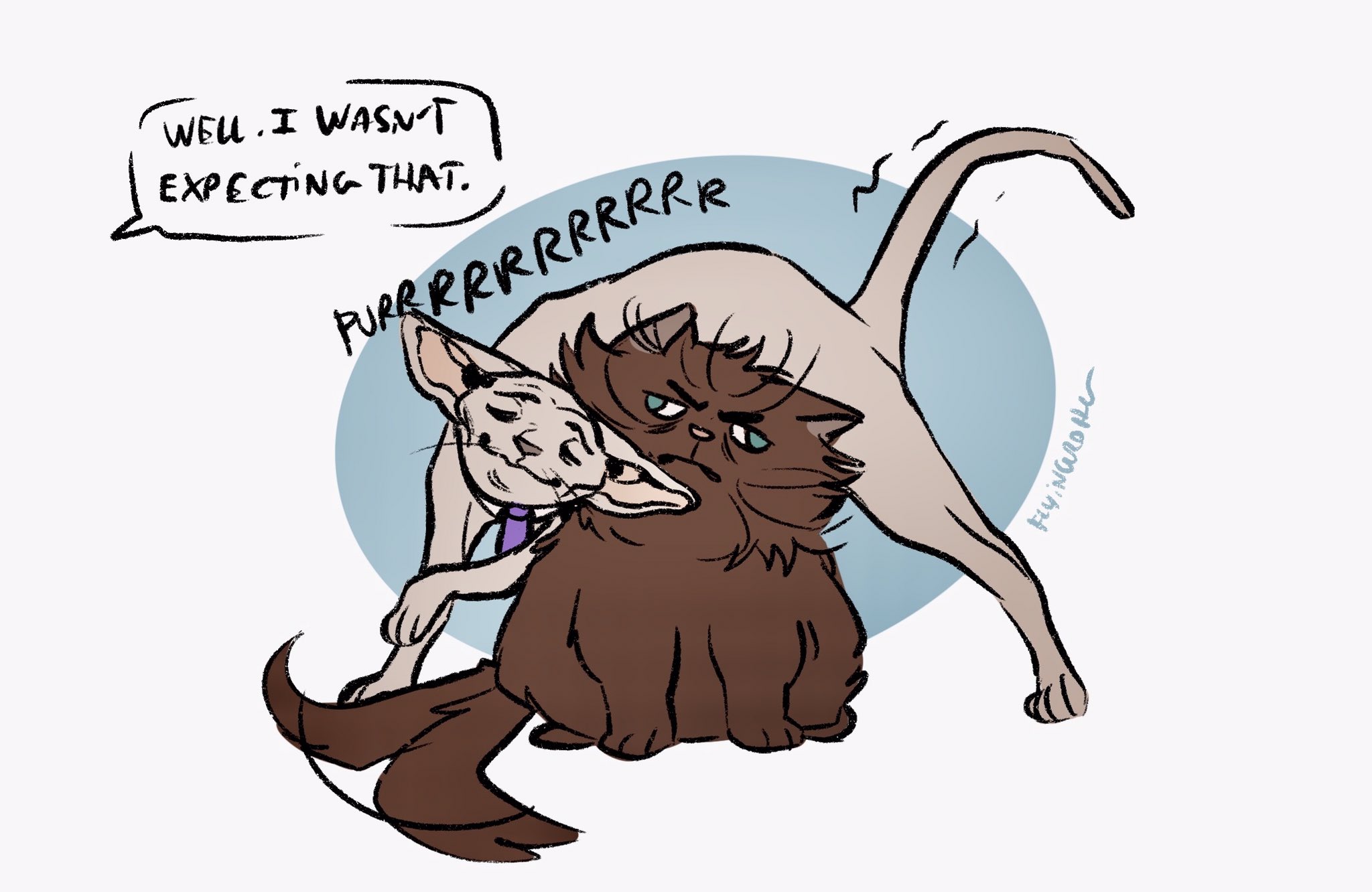 E45XHF4X0AQuvld?format=jpg&name=large