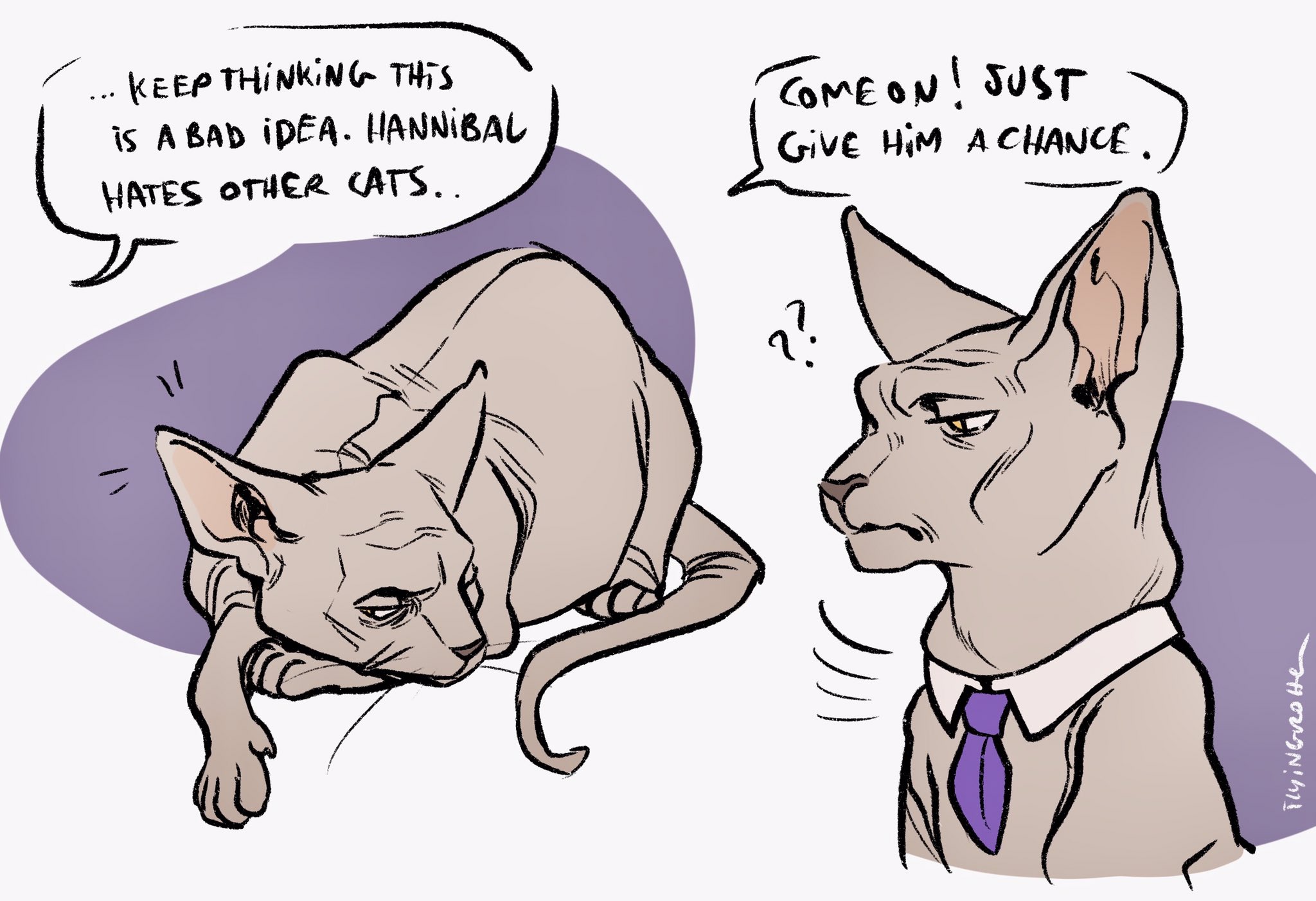 E45XHF6XEAA2Coj?format=jpg&name=large