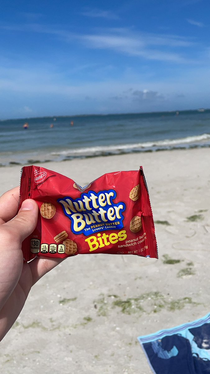 realjridley's tweet photo. day 2 of having NutterButters until the song comes out #NutterButters https://t.co/DkR61I0VI5