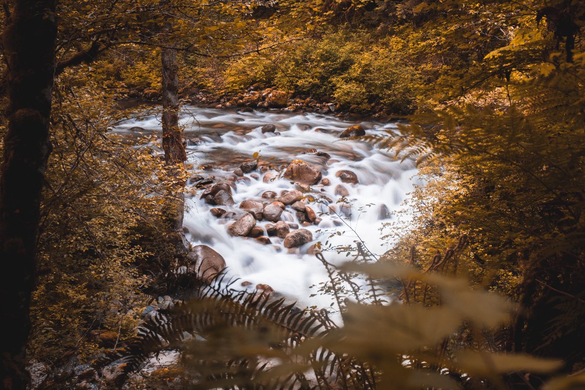 jacksonpageroth's tweet photo. Thinking of moving my photography over to Twitter so here goes. Got some great long exposures a while back and thought I would share. https://t.co/23WDQdEOZS