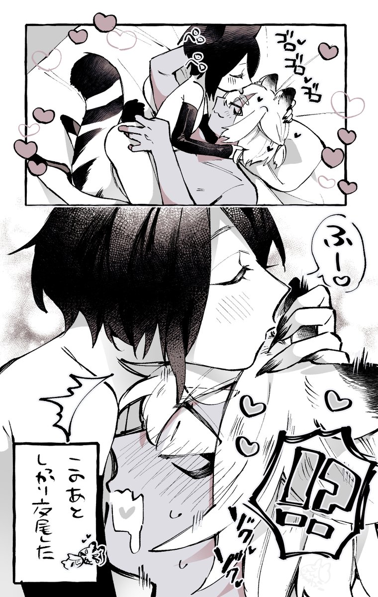 🐯💝🐱 