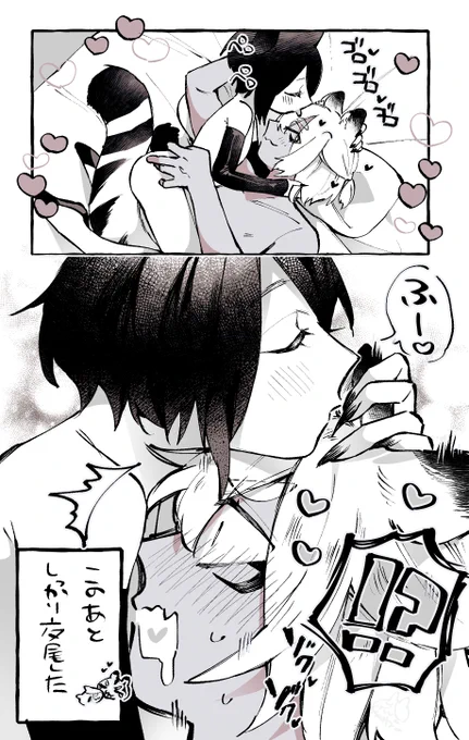 🐯💝🐱 