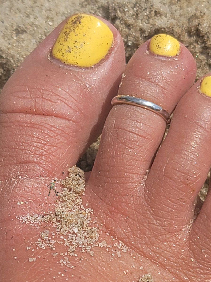 Goddessofdesir4's tweet photo. I put this boy to work!!!!
Custom Giantess content creator!
DM for all business inquiries🥰
#feetgodess #FEETJOI #feetfindom #Feet #feeterstwt #giantessfeet
https://t.co/nAD9Y0T0Rb https://t.co/UdtK7AgUQW
