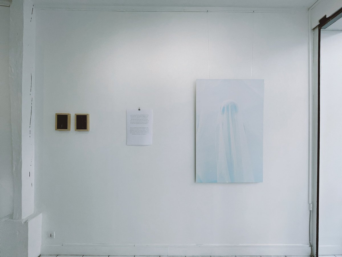 ChloeCoislier's tweet photo. #ROUEN 
Je vends ce tirage en urgence, je ne peux pas le ramener chez moi. 
120x80 cm 
Papier d’art mat contrecollé et barres d’accroches. 
Contactez-moi 💙
#expositionrouen #frenchartist #artcollector #artforsale https://t.co/2opftRGjVs