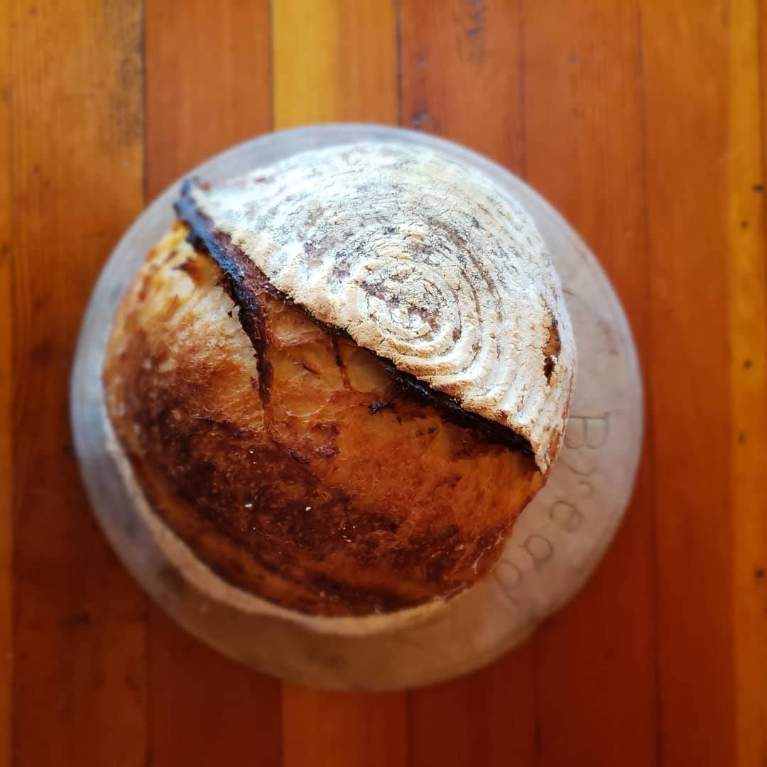 gaileckert's tweet photo. 449 days ago I started on my #sourdough journey during #covid19.
This is sourdough on the road and she's a beauty!
#breadmaking #staffoflife #staff #bakewithus #cottagelife #sourdoughstarter #bread #breadear @kingarthurflour https://t.co/spJKwACtOF