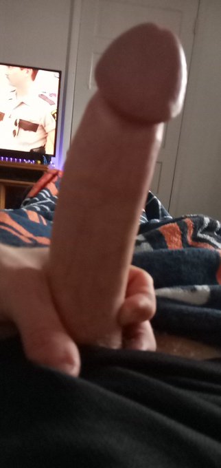 Morning wood for Sunday and he is HARD AF https://t.co/GZZIgXRsfv