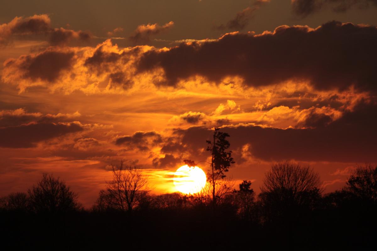 Autism Resource Ctrl tweet media