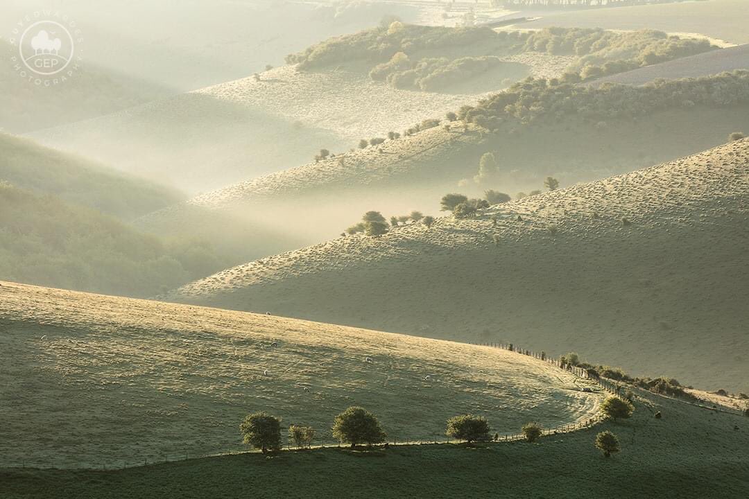 guyedwardes's tweet photo. Early morning light illuminates the downs of north Dorset.

On Wednesday 30th June at 7.30PM (BST) I will be presenting "The Landscape of the British Isles" live with @experts_photo . Link in comments below. https://t.co/0zwW0gJSDZ