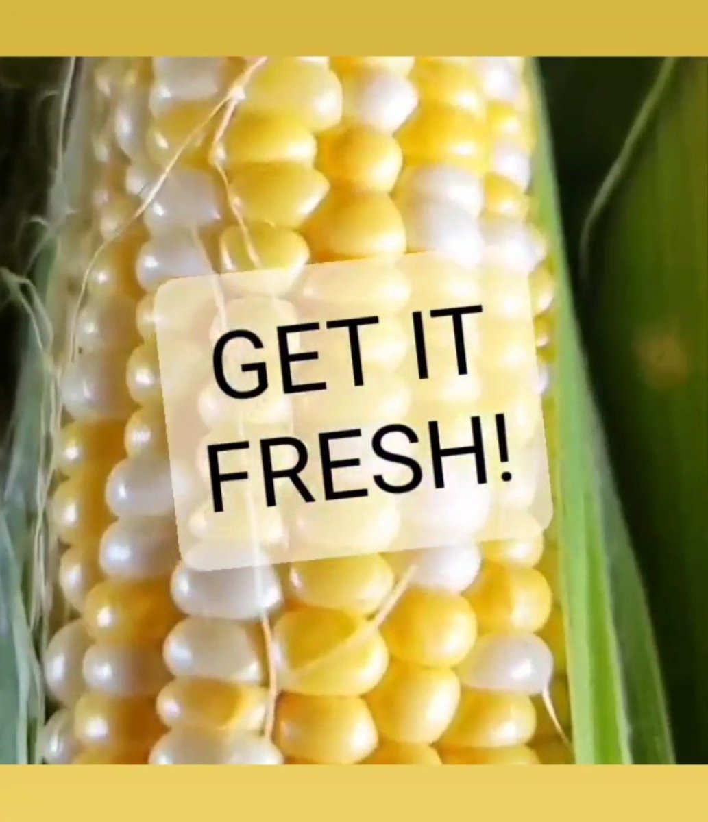 Farm hours are 9am-5pm today.  Get fresh picked sweet corn before the season is over! #sweetcorn #corn