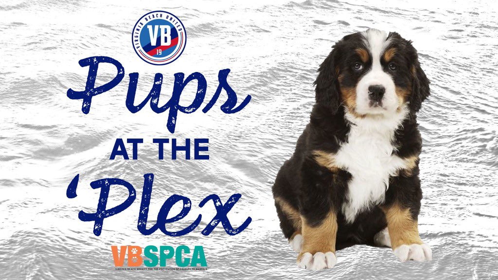 vbunited_'s tweet photo. 🔴🔵 HAPPY GAME DAY 🔵🔴

Bring your pups to the ‘Plex for $2 &amp; the proceeds from the pup’s tickets will go to @vbspca 🐾🐾

GATES: 1:00 PM
KICKOFF 2:00 PM  

#VBU #VBUnited #Path2Pro https://t.co/IRHcnYG70w