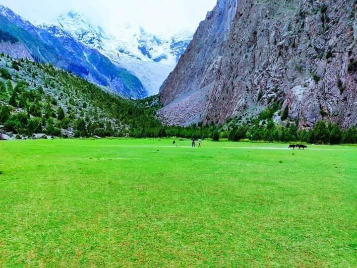 AzfarGilgity's tweet photo. #BeautifulNagar https://t.co/wNPeKrl4VU