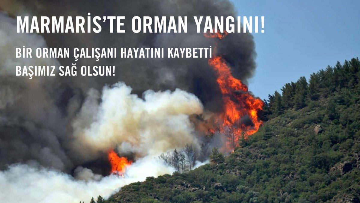 temavakfi's tweet photo. Muğla’nın Marmaris ilçesinde ormanlık alanda yangın çıktı. Sabah saatlerinde çıkan ve rüzgarın etkisi ile hızla yayılan yangında Orman Genel Müdürlüğü bir personelinin şehit olduğunu duyurdu. https://t.co/eKPtFJhHS5