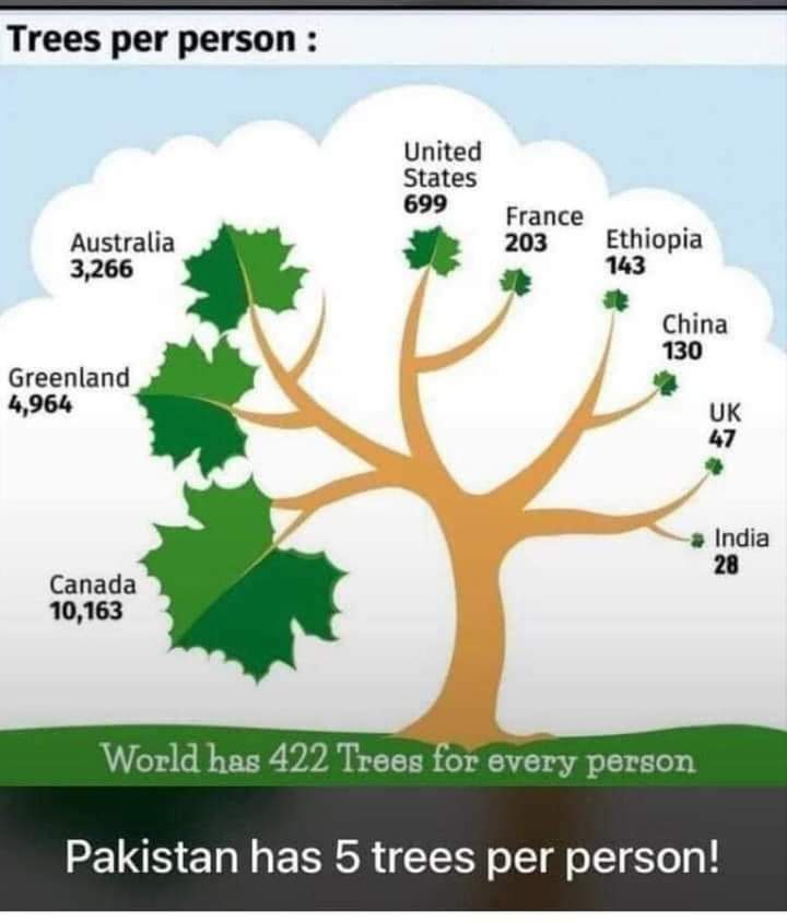 HareshSuther's tweet photo. If you can't plant then at least save them. 🌴🍀 #GreenPakistan #greenpakistan2021 https://t.co/pZjM5eFJqJ