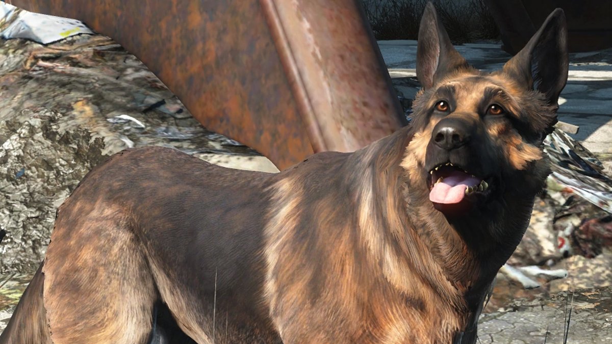 River, The Real-Life Dog Behind Fallout 4's Dogmeat, Has Passed: 
bit.ly/3heShfj