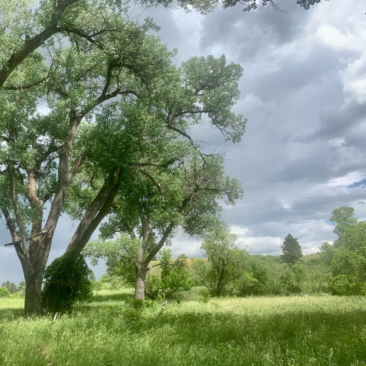 KeepChadBeaut's tweet photo. “At some point in life the world's beauty becomes enough. You don't need to photograph, paint, or even remember it. It is enough.” Toni Morrison #dobeautifulthings https://t.co/VsOcmD4pZI
