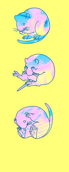言わ鼠 見鼠 聞か鼠 