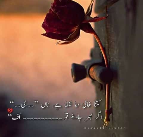 AtfaSyeda's tweet image. 