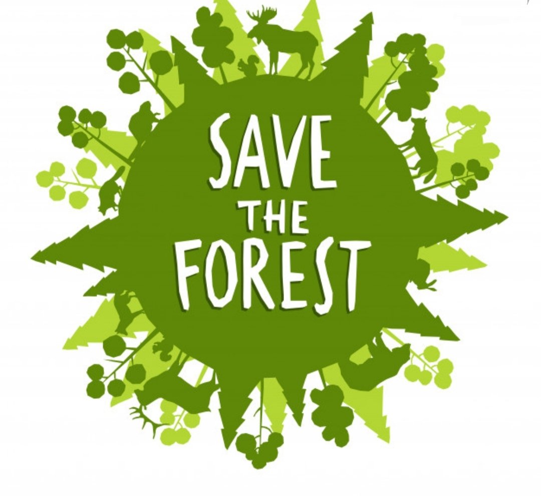 It's been 1 month of joining twitter & today I realise that twitter isn't only for doing politics but also raising your voice and spreading your helpful message to everyone .Today @yaifoundations started a campaign to #SaveBuxwahaForest and I'm very grateful to be a part of this.