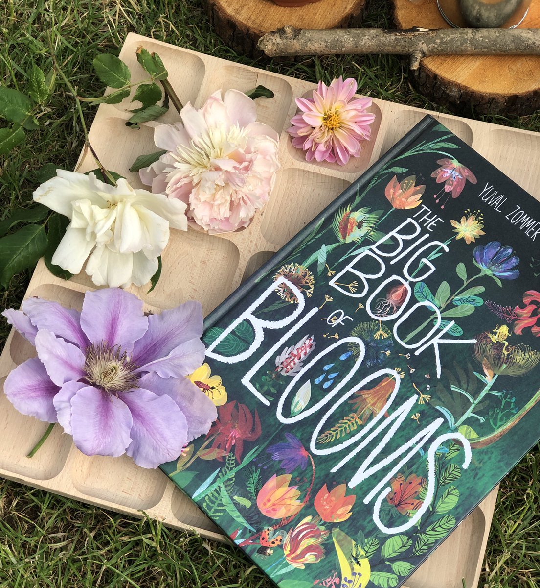 🌸🌿Looking at the parts of a flower with the fantastic Big Book of Blooms by @yuvalzommer 🌸🌿 

#bookishplay #bookish #earlyyears #toddleractivities #eyfsideas #outdoorplay #playandlearn #nature #partsofaplant #blooms #flowers @cosydirect (array tray and mini tyre carrier)