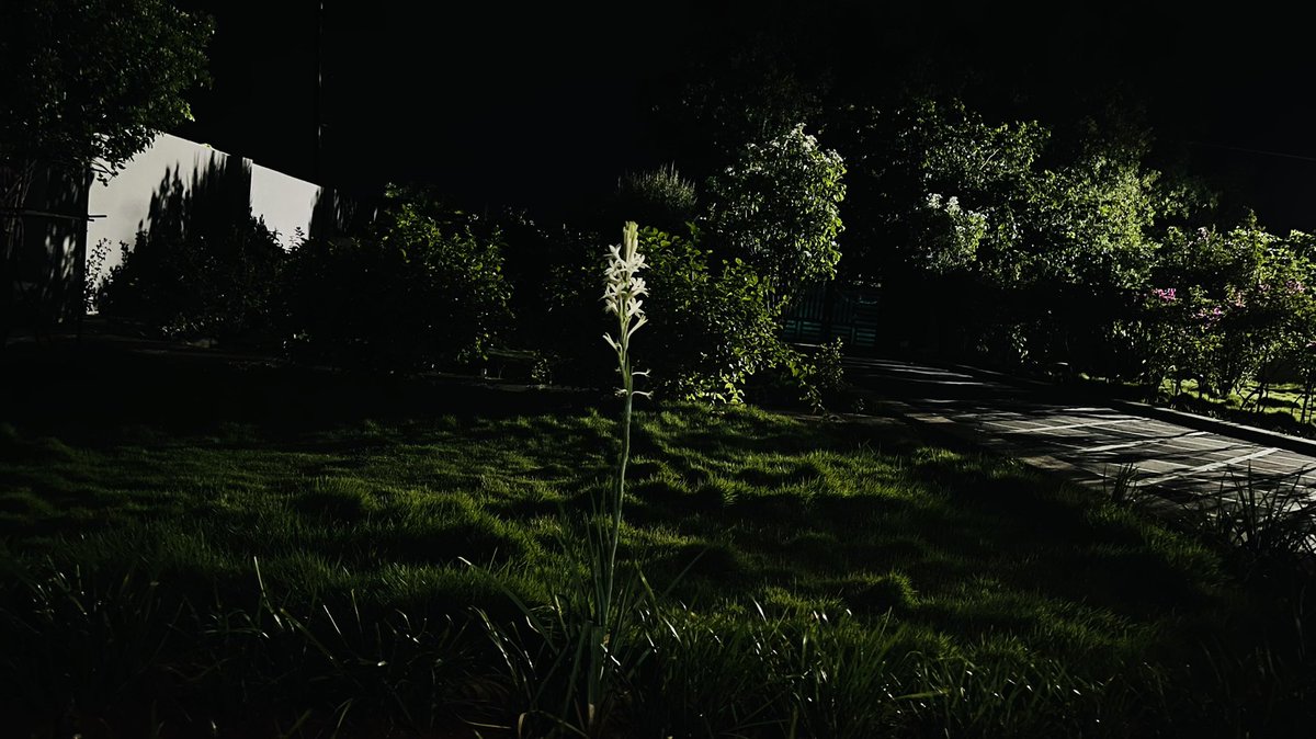 3793bf4e99b540c's tweet photo. Night mode…#Apple  iPhone 12 Pro Max..😍😍 https://t.co/yrWjK0SJR3