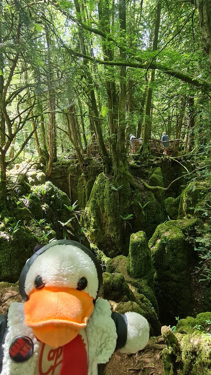 SadCaptains's tweet photo. Few more from @PuzzlewoodFOD What a beautiful place this is! 😊 https://t.co/vLZhsG0mtG