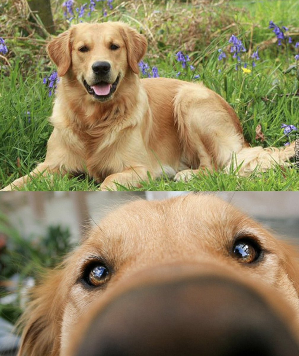 nader dabit tweet media