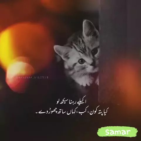 KFK21679's tweet photo. Samar_Writes:#samar_writes use my code 777399451 #foryouforyou #foryo foryou#vir #schoolwalishayari #FruitMakeupLook #photoorvideo #zindagibarbad #Make3DPortraits #meandpapa #TypeKaroMoveKaro #LetsPlayGTA #wemissoldsongs #CricketPawri #photoorvideo #comicbitmoji #zindagibarbad https://t.co/OECpZgbDyn