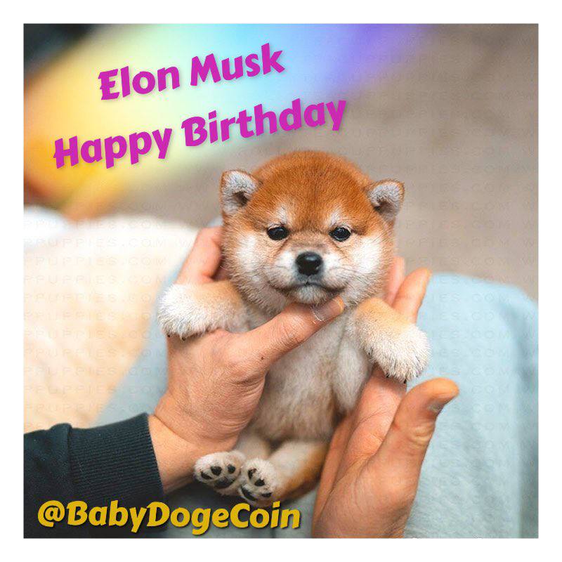  China time June 28 00:00 I wish you a happy birthday Elon musk 