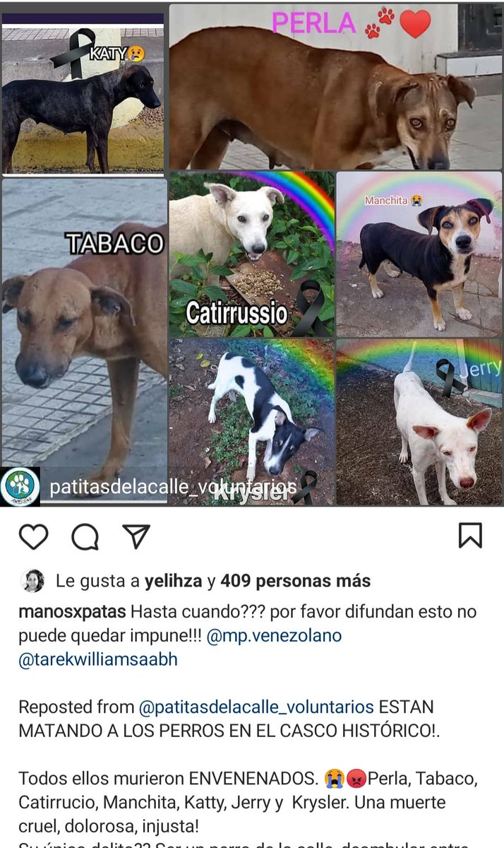 Jorge tweet media