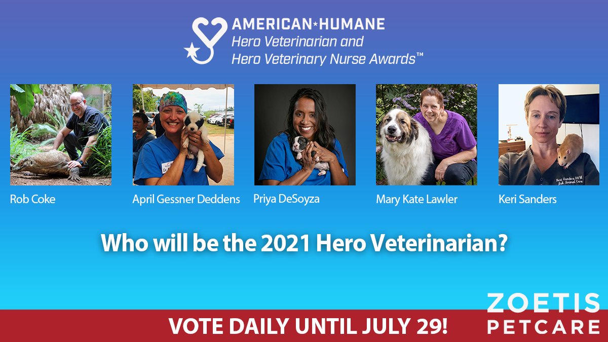 One Week Left to Vote in First Round of Hero Dog Awards American