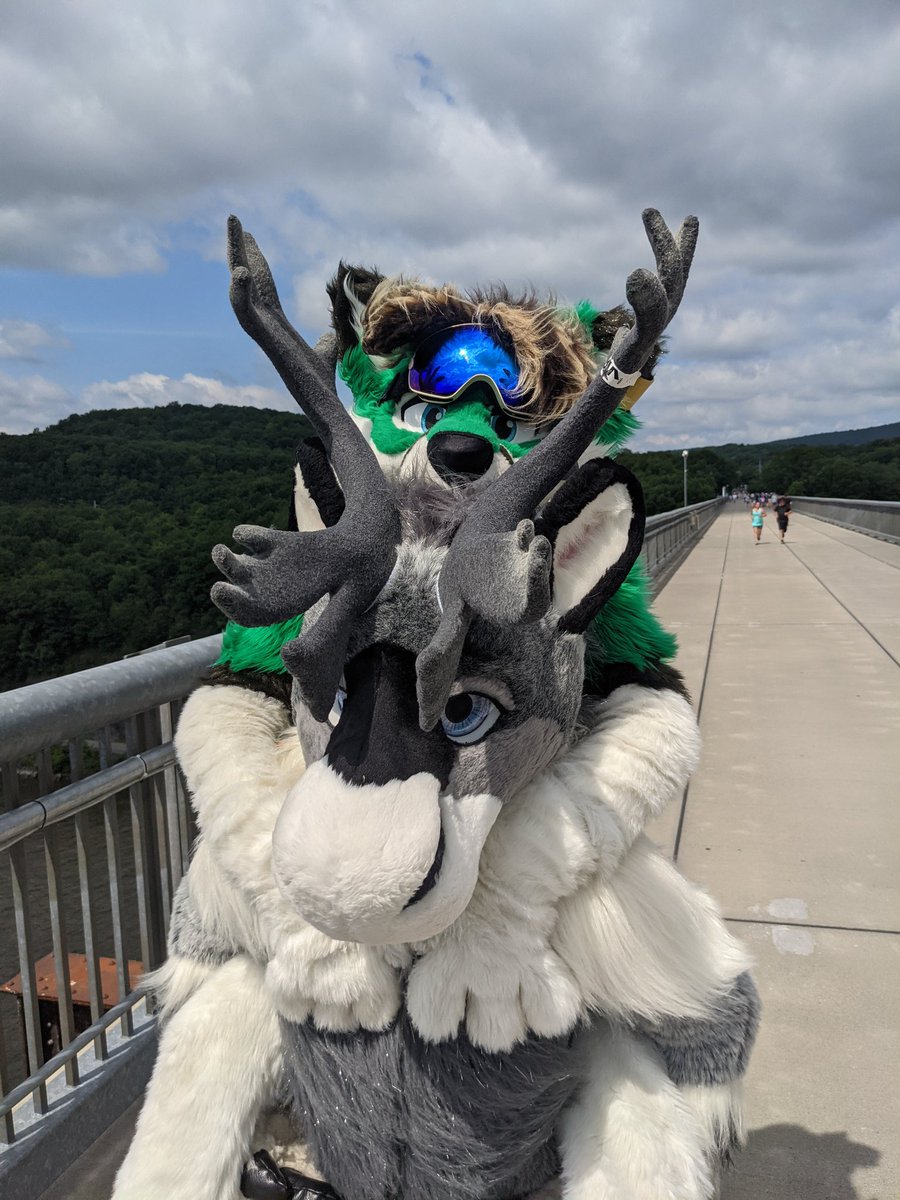 NunavutTuktu's tweet photo. I think caribou rides are supposed to make use of a sleigh π·! π¦π₯΅π¦
#SokiSunday https://t.co/Ej67asvHCA