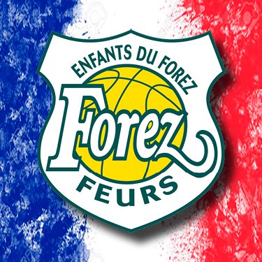 [EURO 2021] 

LES BLEUES 🇫🇷 SONT EN FINALE DE L'EURO vs la Serbie 🇷🇸  ! 🏆

👀 <a href="/FRABasketball/">Équipes de France de Basket</a> féminine. 

RDV à 21H00 en direct sur <a href="/W9/">W9</a> !

#GrandirEnsemble 💚💛 #EFF 🏀