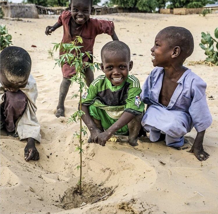 Comprender los grandes problemas que dan forma a nuestro mundo nunca ha sido más importante. Hoy más que nunca urge que los maestros nos sumemos #ods #covid19