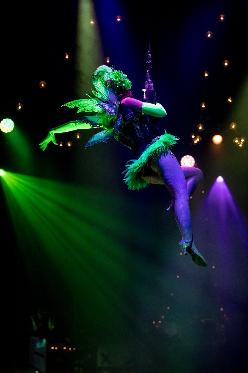 You see her too, right? 🧚🏻‍♂️