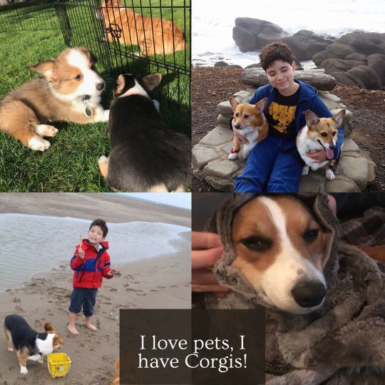 Oregon DECA tweet media