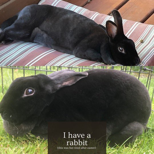 Oregon DECA tweet media