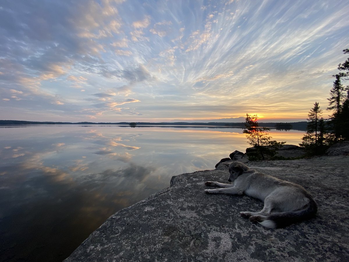 Glenn_Nolan_'s tweet photo. looking at you relaxing under a reflective lake of a brilliant evening sky #northwesternontario #queticopark #batchewaung #latejune https://t.co/NPCXzQoXy6