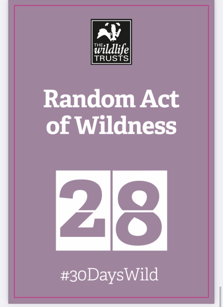 Rockpoolschool1's tweet photo. ๐บ#30DaysWild in June ๐บ
Hereโs number twenty eight in our #randomactofwildness below โmap your local wildlifeโ.
We are always peering out our back window to check out our local wildlife!!
#day28 #randomactofwildness #thewildlifetrusts #mapyoulocalwildlife #nature #bird https://t.co/n6QHFbagVR